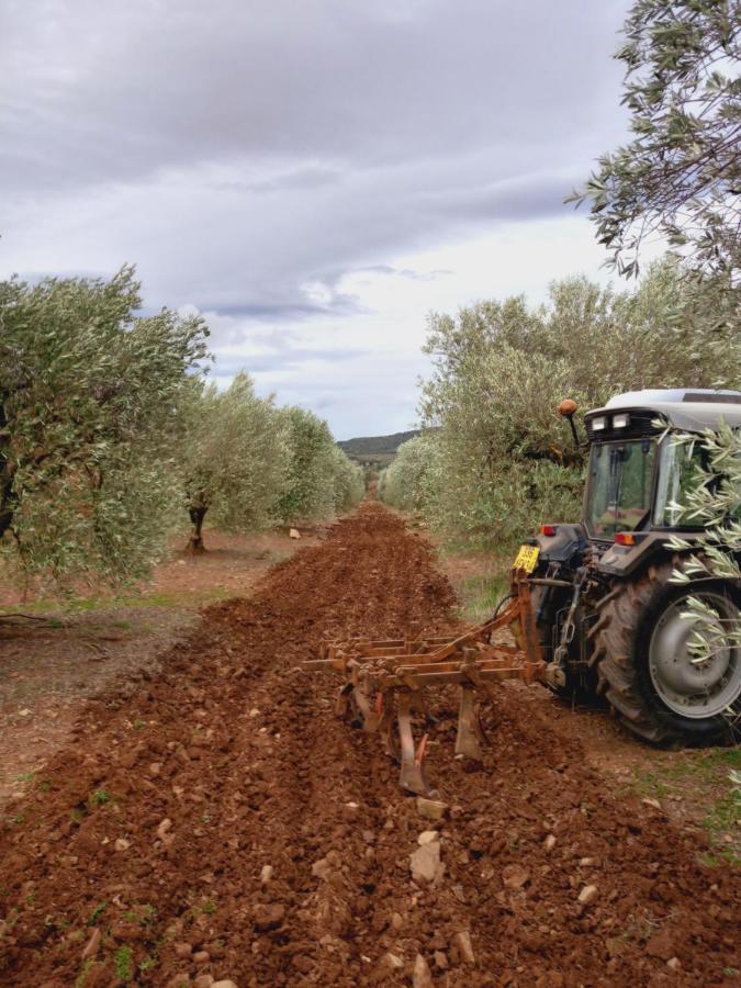 Escale Au Salagou Le Bosc  Esterno foto